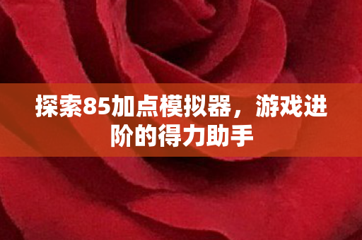 探索85加点模拟器图片