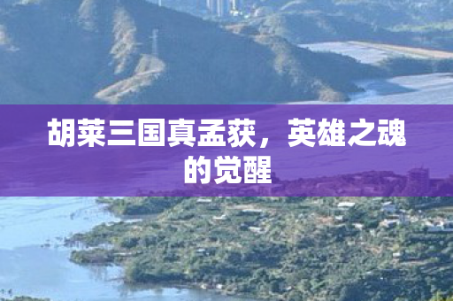胡莱三国真孟获图片