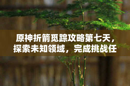 原神折箭觅踪攻略第七天图片