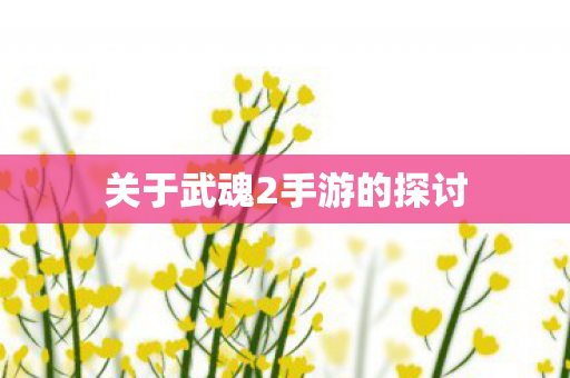 关于武魂2手游的探讨图片