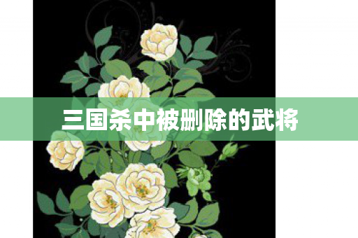 三国杀中被删除的武将图片