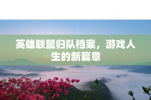 英雄联盟归队档案图片