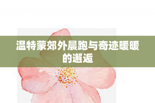 温特蒙郊外晨跑与奇迹暖暖的邂逅图片