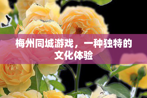 一种独特的文化体验图片