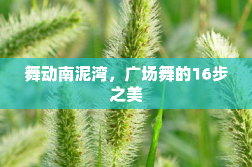 广场舞的16步之美图片