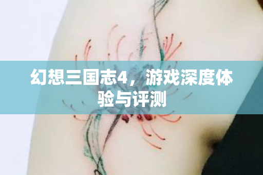 游戏深度体验与评测图片