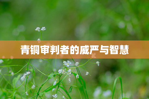 青铜审判者的威严与智慧图片