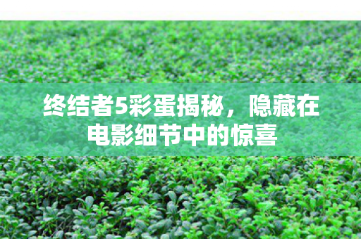 隐藏在电影细节中的惊喜图片