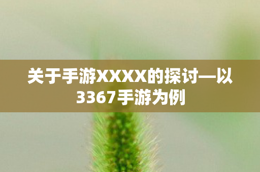 关于手游XXXX的探讨图片