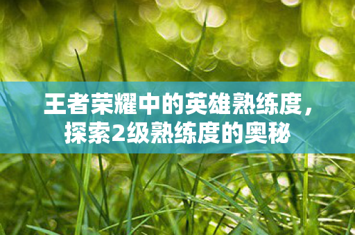 王者荣耀中的英雄熟练度图片