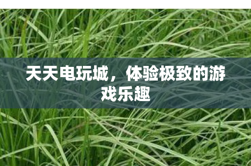 体验极致的游戏乐趣图片
