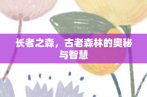 古老森林的奥秘与智慧图片
