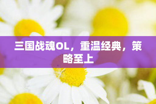 三国战魂OL图片