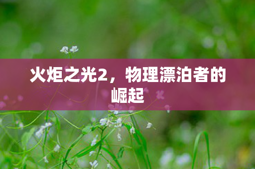 物理漂泊者的崛起图片