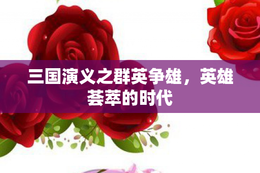三国演义之群英争雄图片