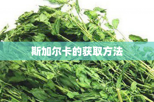 斯加尔卡的获取方法图片