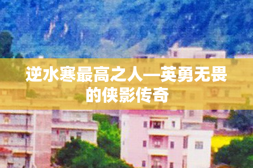 英勇无畏的侠影传奇图片