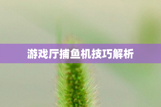 游戏厅捕鱼机技巧解析图片