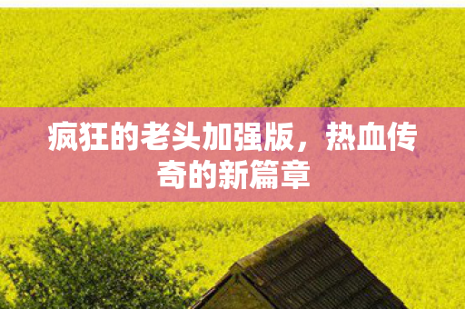 疯狂的老头加强版图片
