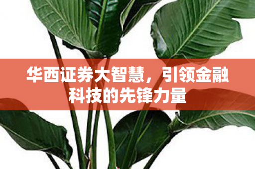 引领金融科技的先锋力量图片