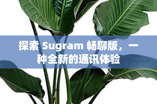 探索 Sugram 畅聊版图片