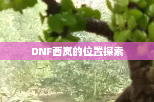 DNF西岚的位置探索图片