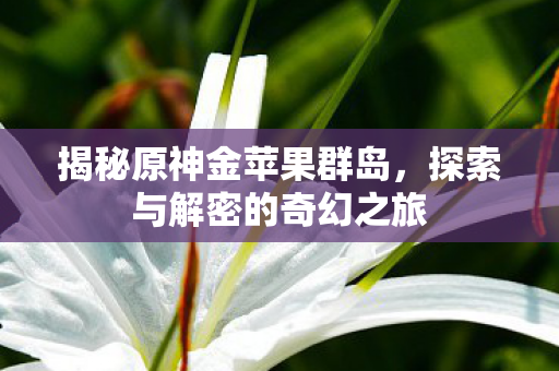 探索与解密的奇幻之旅图片