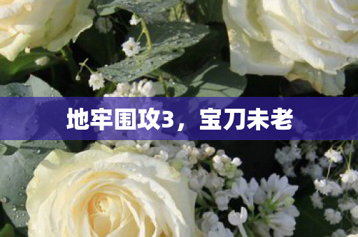地牢围攻3图片