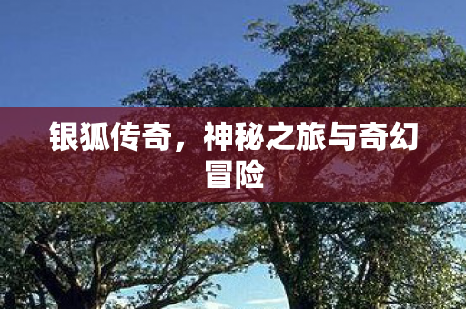 神秘之旅与奇幻冒险图片