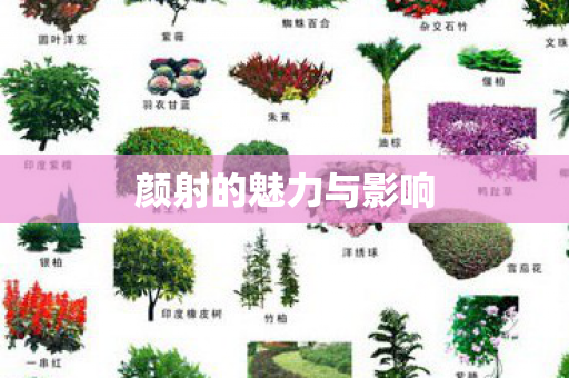 颜射的魅力与影响图片