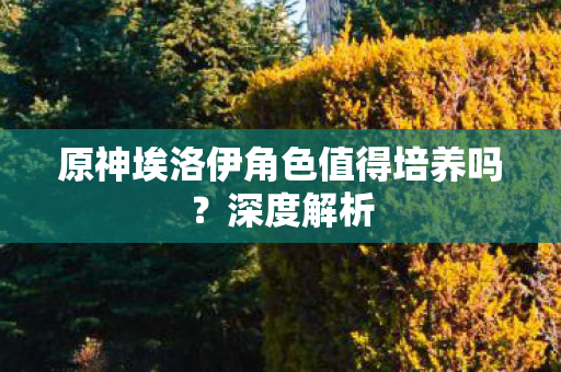 原神埃洛伊角色值得培养吗图片