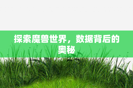 数据背后的奥秘图片