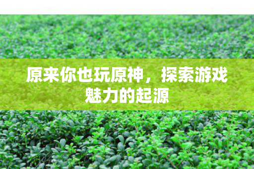 探索游戏魅力的起源图片
