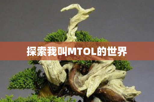 探索我叫MTOL的世界图片