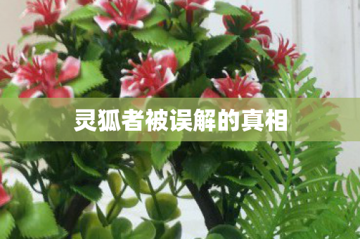灵狐者被误解的真相图片