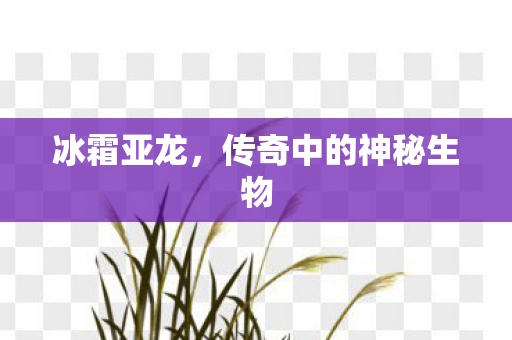 传奇中的神秘生物图片