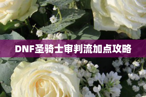 DNF圣骑士审判流加点攻略图片