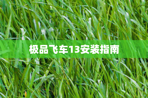 极品飞车13安装指南图片