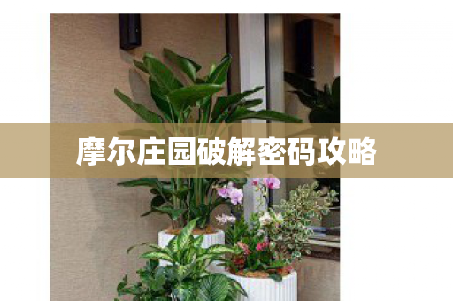 摩尔庄园破解密码攻略图片