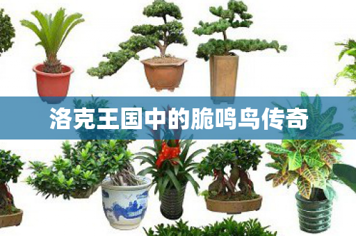 洛克王国中的脆鸣鸟传奇图片