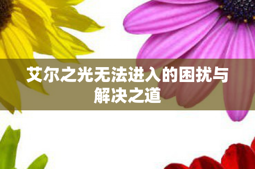 艾尔之光无法进入的困扰与解决之道图片