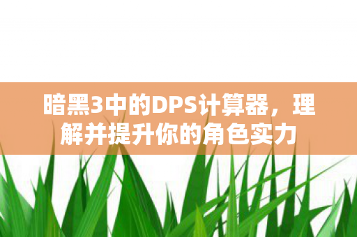 暗黑3中的DPS计算器图片
