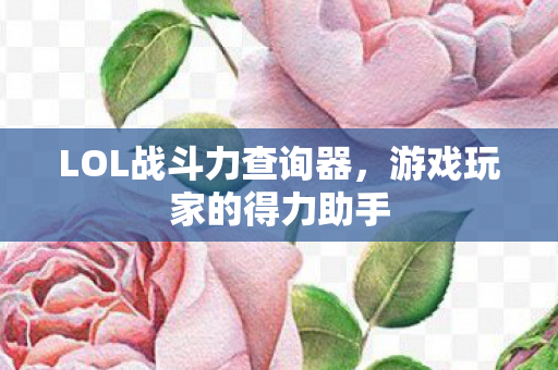 LOL战斗力查询器图片