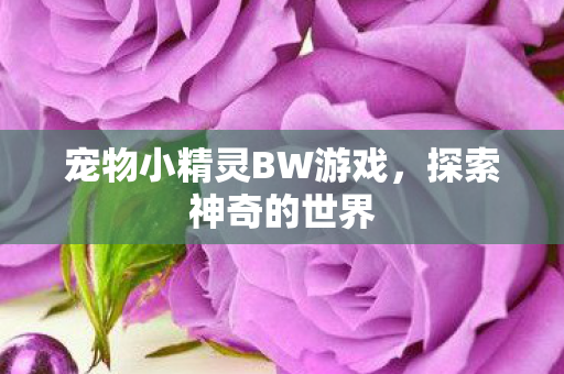 宠物小精灵BW游戏图片