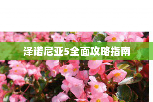 泽诺尼亚5全面攻略指南图片