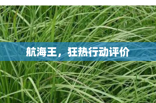 狂热行动评价图片
