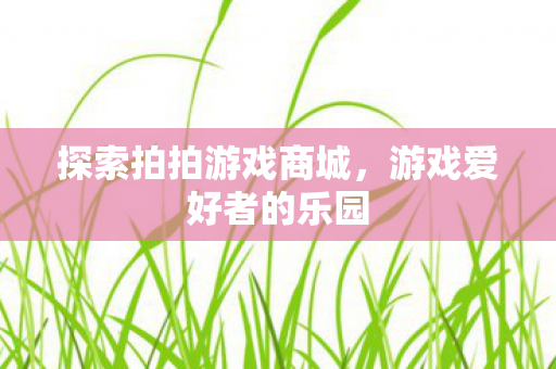 探索拍拍游戏商城图片