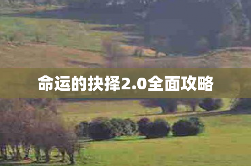 命运的抉择2图片