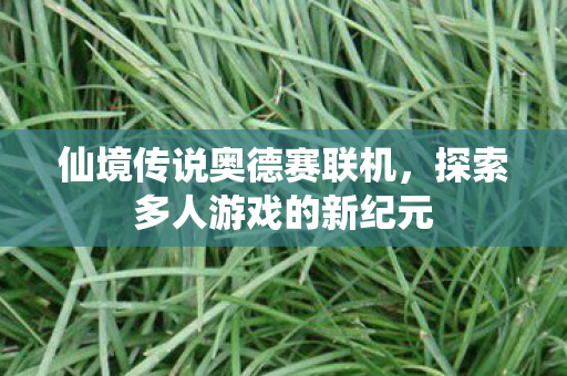 探索多人游戏的新纪元图片