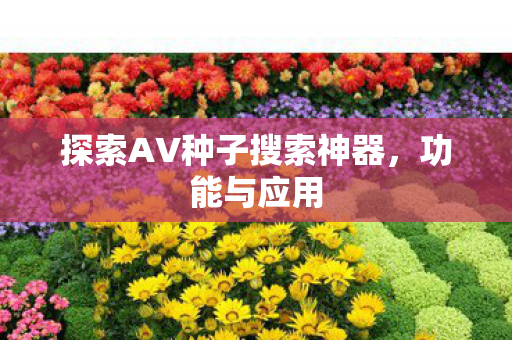 探索AV种子搜索神器图片